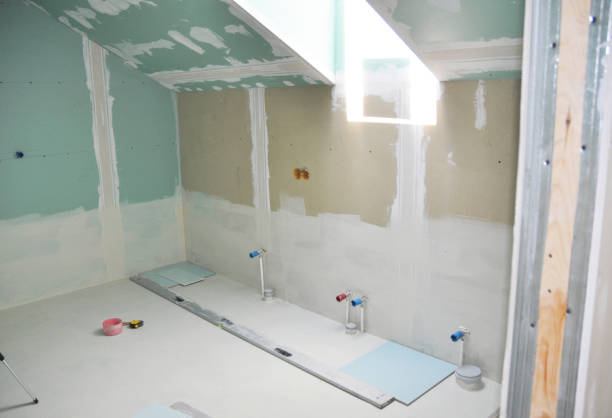 Best Post-Construction Mold Inspection  in Leipsic, OH