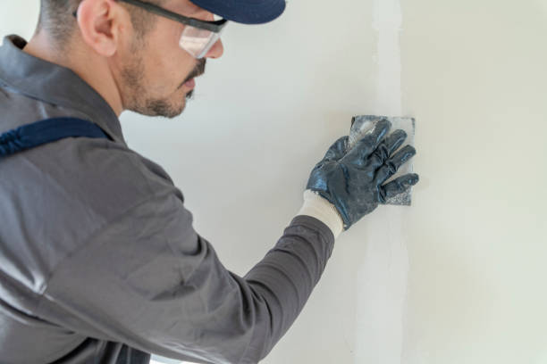 Best Mold Documentation for Insurance Claims  in Leipsic, OH