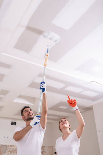 Mold Removal for HVAC Installations in Leipsic, OH